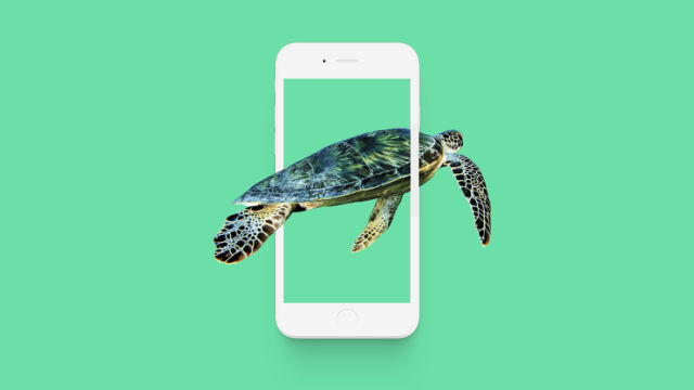 Great Barrier Reef Foundation